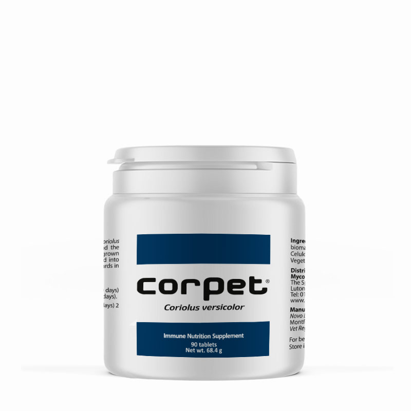 Corpet 90 Tablets